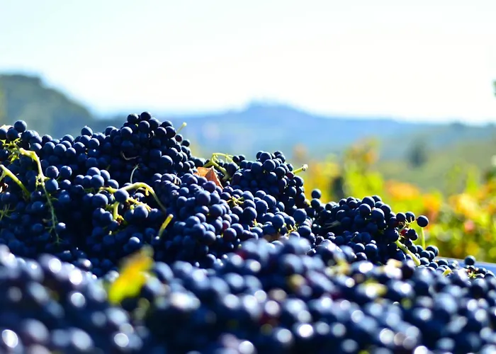 Fattoria di Fugnano