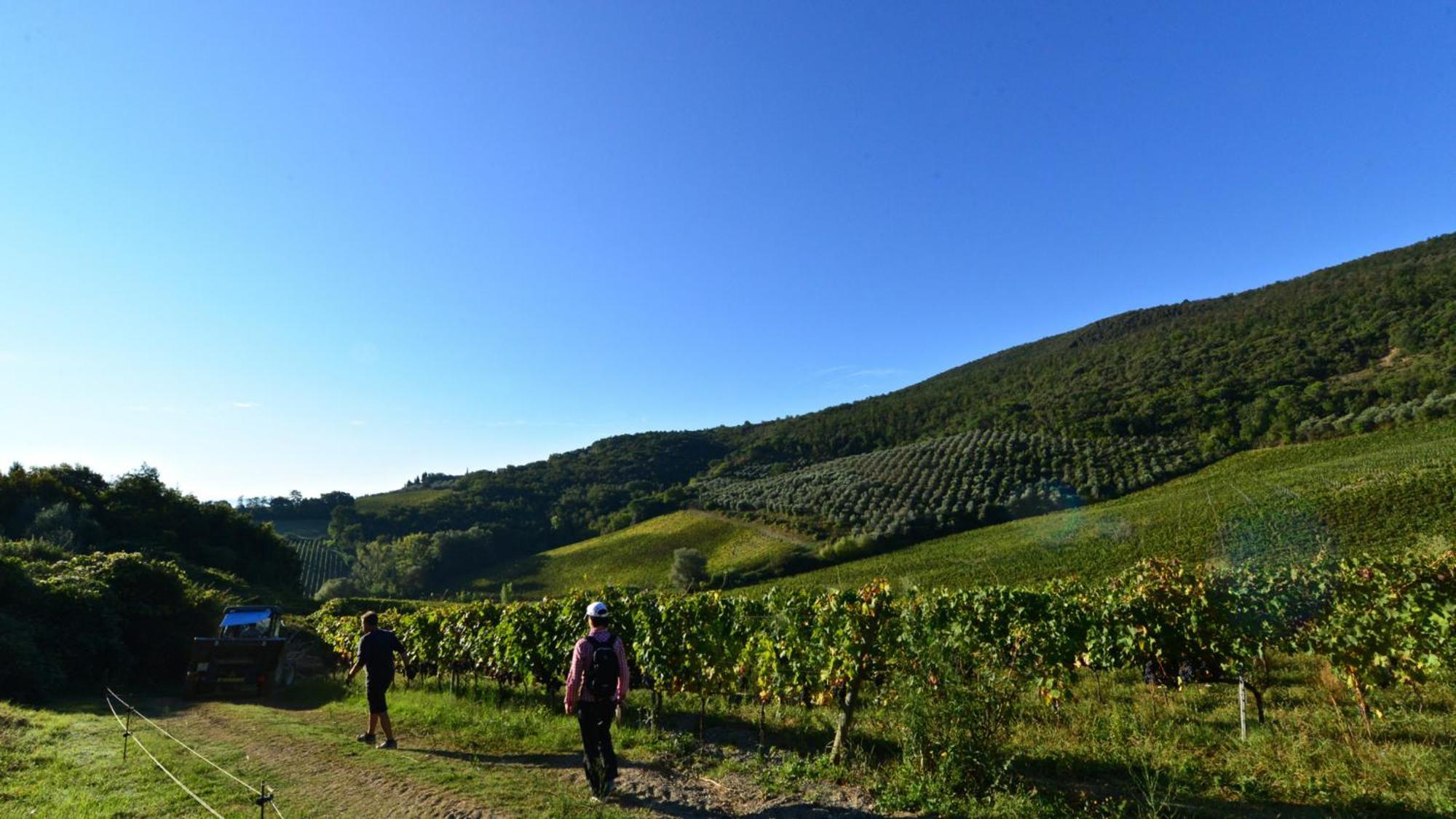 Fattoria Di Fugnano Country house San Gimignano